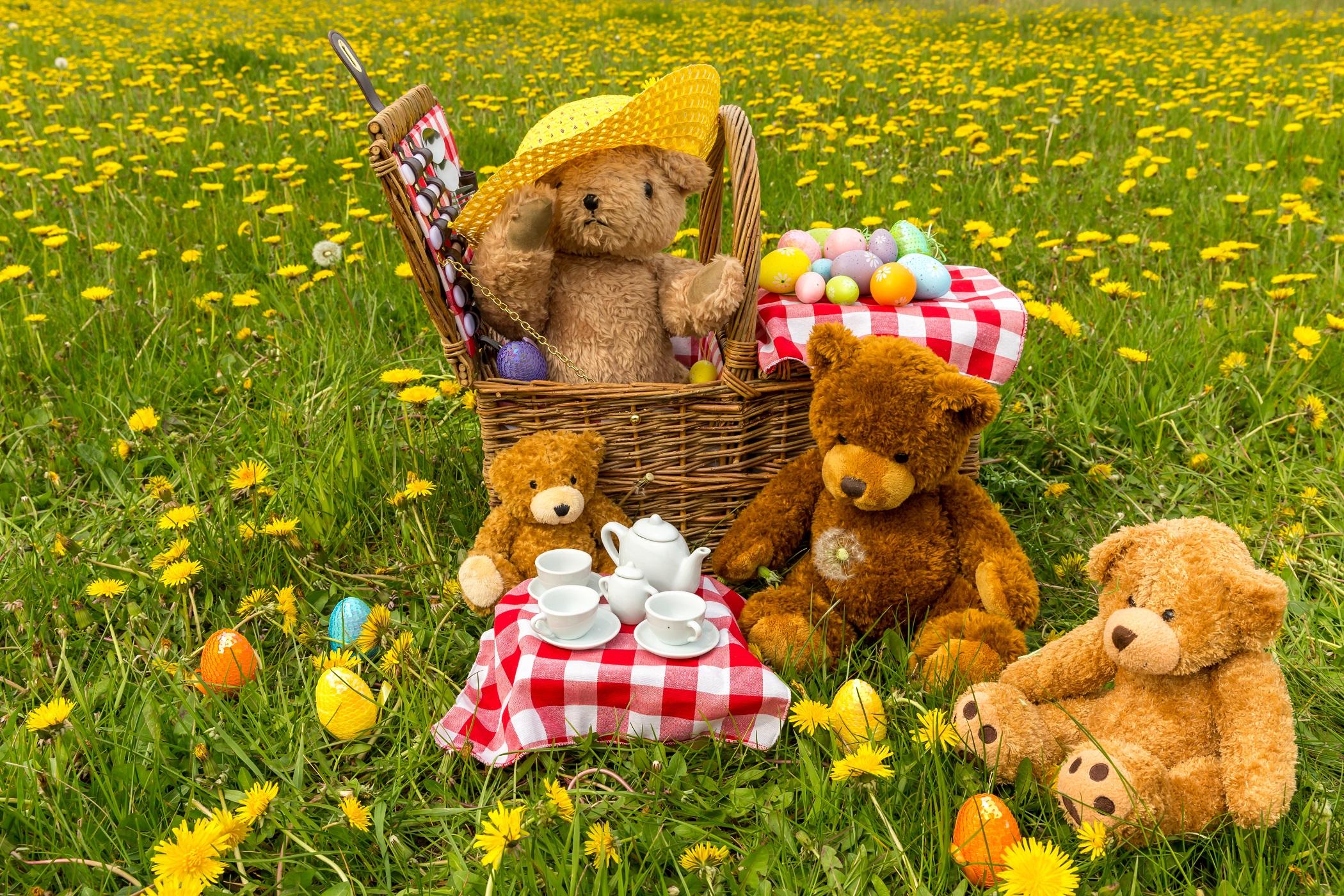 teddy bears picnic